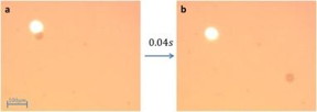 Caption: Ben-Gurion University of the Negev researchers demonstrate a light-generated bubble for microparticle propulsion. Panel (a) shows the 42?μm diameter spherical particle and the 405?nm laser beam as the respective dark and bright patches. Panel (b) shows that 40 milliseconds later the microsphere has traversed a distance roughly 10 times its size.
CREDIT
Ben-Gurion U.