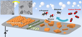 Schematic of a new catalyst made of copper nanoparticles that converts carbon dioxide to multicarbon products (ethylene, ethanol, and propanol). At top left are transmission electron microscope images of the copper nanoparticles. The transformation of the nanoparticles from spheres to cube-like structures is key to keeping the energy input low for the reactions.
CREDIT
Dohyung Kim/Berkeley Lab
