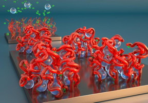 Polyelectrolyte brushes illustration: In the foreground, powerful ions in solution, shown as spheres, cause the brush's bristles to collapse like sticky spaghetti. In the background, gentler ions in solution cause the bristles to stand back straight.
CREDIT
Peter Allen University of California Santa Barbara for this study / press handout