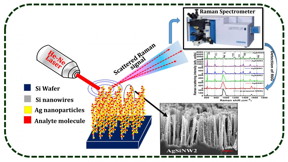 Detection of a low concentration analyte molecule using silicon nanowires decorated with silver nanoparticles and surface enhanced Raman scattering measurements.
CREDIT
V.S. Vendamani
