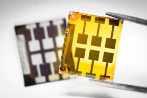 The lead-free double perovskite solar cells (yellow, in the front) compared with the lead-based device (dark, in the background). The next step is tune the color of the double perovskites into dark, so that they can absorb more light for efficient solar cells.
CREDIT
Thor Balkhed