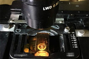 A photo of the experiment using a glass slide with the new coating.
CREDIT
University at Buffalo
