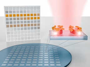 The authors show a pixelated sensor metasurface for molecular spectroscopy. It consists of metapixels designed to concentrate light into nanometer-sized volumes in order to amplify and detect the absorption fingerprint of analyte molecules at specific resonance wavelengths. Simultaneous imaging-based read-out of all metapixels provides a spatial map of the molecular absorption fingerprint sampled at the individual resonance wavelengths. This pixelated absorption map can be seen as a two-dimensional barcode of the molecular fingerprint, which encodes the characteristic absorption bands as distinct features of the resulting image.
CREDIT
EPFL
