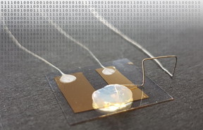 The single-atom transistor that works in a gel electrolyte reaches the limit of miniaturization.

CREDIT
Group of Professor Thomas Schimmel/KIT