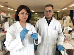 Drs. Esrafilzadeh and Jalili working on 3D-printed graphene mesh in the lab.

CREDIT
RMIT University
