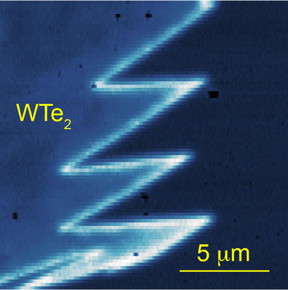 The bright zigzag lines indicate conduction features precisely at the edges of the monolayer WTe2. (Cui Lab/UC Riverside)