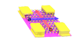 Figure 1. Schematic of a ReS2 device on a flexible PI substrate, the channels of which are along the two principle axes of the ReS2 flake, respectively.

ReS2 flakes were mechanically exfoliated from bulk crystals and transferred onto a flexible polyimide substrate. Two optical fibers were transferred onto the flake, each of which was perpendicular to one of the anisotropic axes of ReS2, respectively. Next, titanium/gold (Ti/Au) electrodes were deposited, followed by an optical filer lift-off process. Finally, Ag wires were connected to the electrodes for measurements.