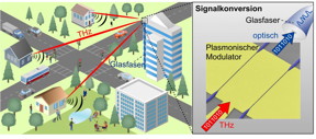 Seamless integration of wireless transmission lines into glass-fiber networks results in high-performance data networks. A detailed description of the figure is given at the end of the text.

CREDIT
IPQ/KIT

