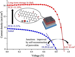 Figure 1. Self-recrystallization of functionalized CNT-covered perovskite
The initial power conversion efficiency (PCE) soared after long-term storage because of the self-recrystallization process that perovskite undergoes when stored in the dark. Much higher conductivity and lower resistance was observed for perovskite covered with carbon nanotubes (CNTs) with oxygen-containing functional groups.
