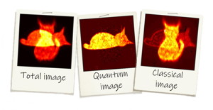 The total image or direct intensity image is obtained by the accumulation of light on the camera. With the technique, researchers are able to separate the quantum image of the "dead cat", and then subtract this image to the total image to obtain the classical image of the "alive cat".

CREDIT
 University of Glasgow/ H. Defienne
