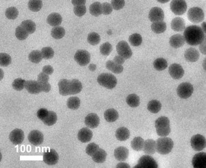MIT engineers created clusters of nanoparticles that are coated with "right-handed" molecules of the amino acid cysteine.

CREDIT
Jihyeon Yeom