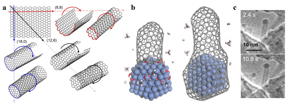 (a) Carbon nanotubes (CNTs) could be viewed as single-atom layer thick graphene sheets rolled into a cylinder. Different directions of rolling determine CNTs' properties. (b) Schematic diagram showing a carbon nanotube's lifetime during chemical vapor deposition synthesis. Transition metals (blue structure) serve as catalysts, critical to elongate the CNT (left), until the carbon concentration on the catalyst surface becomes so abundant that the nanoparticle gets encapsulated by graphitic or amorphous carbon, forming a "cap" at the end of the cylinder and ending the growth of the CNT (right). (c) Environmental transmission electron microscope images of a CNT taken at different times during growth. The CNT contains a cobalt nanoparticle on its top end, a typical feature of tip-growth.

CREDIT
IBS