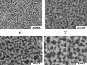 FESEM images of Y2O3?MgO composite SPS ceramics sintered at 1100 (a), 1200 (b), 1250 (c) and 1300C (d)

CREDIT
FEFU press office