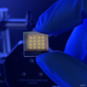 These are quantum dots coated on a transparent substrate with gold contacts for mid-infrared detection.

CREDIT
ICFO