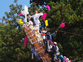 The Onbashira Matsuri is a festival where men climb on and slide down a mountain side on large timber logs, a holy tradition dating back 1,200 years. The lumber is then used to build the one of the main shrines of Japan, the Suwa Taisha.

CREDIT
Copyright 2012-2014 Suwa Tourism Association