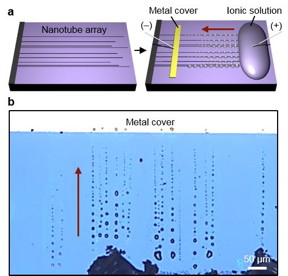 Formation of salt micro/nanocrystals along SWNTs via exterior transport.

CREDIT
UNIST