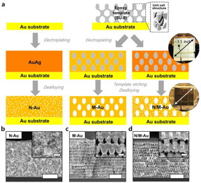 Fabrication procedures of various gold nanostructures through proximity-field nanopatterning (PnP) and electroplating techniques.

CREDIT
Professor Seokwoo Jeon and Professor Jihun Oh, KAIST