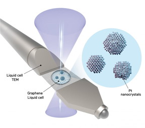 The schematic shows a liquid sample contained between two sheets of graphene -- the thinnest, strongest material known. Nanoparticles in the liquid freely rotate while a transmission electron microscope takes thousands of images of the nanoparticles. The images are then analyzed by the authors' software to determine the location of every atom in each nanoparticle

CREDIT
IBS