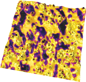 Asylum Research AFMs offer an exclusive bimodal imaging technology that easily distinguishes between components in rubber blends with higher resolution than conventional AFMs. Here, a tire rubber blend containing epoxidized natural rubber, polybutadiene rubber, and silica nanoparticles was imaged using bimodal AFM. The image reveals how the blend consists of a continuous phase of natural rubber (yellow/orange areas) containing isolated inclusions synthetic rubber (purple patches) and how the silica particles (black dots) are dispersed almost exclusively in the natural rubber.
