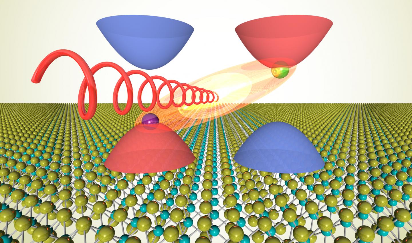 Image shows intervalley exciton light emission from monolayer WSe2. Monolayer WSe2 consists of a two-dimensional array of tungsten atoms (cyan balls) and selenium atoms (yellow balls). Its conduction and valence energy bands exhibit two valleys with opposite electron spins (red and blue cups). An electron (green ball) and a hole (purple ball) in the opposite valleys can be bound to form an intervalley exciton (orange-yellow ellipsoid), which decays to emit light with circular polarization (red spiral).

CREDIT
Erfu Liu, UC Riverside.