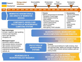 Roadmap for memristive neuromorphic and neurohybrid systems

CREDIT
Lobachevsky University