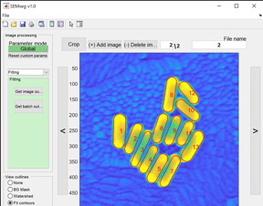 Rice University scientists have created an open-source algorithm, SEMseg, that simplifies nanoparticle analysis using scanning electron microscope images. (Credit: Landes Research Group/Rice University)