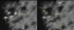 The arrows point to titanium dioxide nanocrystals lighting up and blinking (left) and then fading (right).

CREDIT
Tewodros Asefa and Eliska Mikmekova