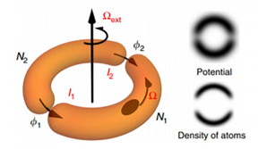 A schematic of an atomtronic SQUID shows semicircular traps that separate clouds of atoms, which quantum mechanically interfere when the device is rotated.

CREDIT
Los Alamos National Laboratory