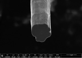 The cross section of a fiber produced at Rice University contains tens of millions of carbon nanotubes. The lab continually improves its method to make fibers, which tests show are now stronger than Kevlar. (Credit: Pasquali Research Group/Rice University)