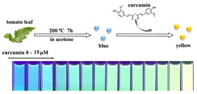 Organophilic carbon nanodots (CNDs) were synthesized from extract of natural plant leaves. The CNDs showed multi-band emission, and could be well-dispersed in acetone and ethanol. Taking advantage of their optical property, the CNDs were applied as a ratiometric and colorimetric sensor for curcumin detection in ethanol solution.