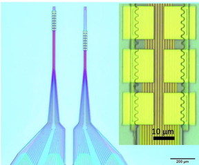 The National Institutes of Health is backing a Rice University project to continue the development of flexible nanoelectronic thread to gather information from neurons. The miniaturized implants could ultimately help find therapies for neurological disorders. (Credit: Xie Laboratory/Rice University)