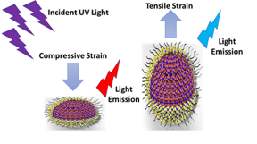 Caption: Illustration used to visualize how compressive and tensile strain can change the emission wavelength of the quantum dots. 

