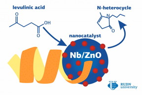 N-heterocycles are organic substances used in the chemical industry and medicine. To produce them, expensive catalysts made from noble metals are used. A chemist from RUDN University developed a nanocatalyst for N-heterocycles that consists of zinc oxide and niobium and can be obtained using orange peel without any additional chemical agents. The catalyst makes the reaction almost 100% effective, thus increasing the efficiency and reducing the cost of N-heterocycles production.

CREDIT
RUDN University
