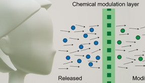Schematic shows how a chemical modulation layer "sanitizes" the face mask wearer's respiratory droplets.