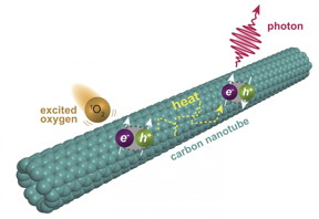 Chemists at Rice University have discovered a second level of fluorescence in single-walled carbon nanotubes. The fluorescence is triggered when oxygen molecules excited into a singlet state interact with nanotubes, prompting excitons to form triplet states that upconvert into fluorescing singlets. (Credit: Illustration by Ching-Wei Lin/Rice University)
