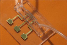 An image of the COVID-19 test chip made by aerosol jet nanoparticle 3D printing.

CREDIT
Advanced Manufacturing and Materials Lab, College of Engineering, Carnegie Mellon University