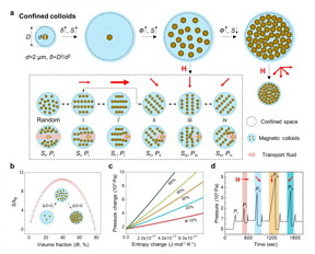 Schematics of confined colloids in different states via remote and dynamic magnetic regulation

CREDIT
©Science China Press