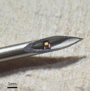 Chips shown in the tip of a hypodermic needle.

﻿Chen Shi/Columbia Engineering