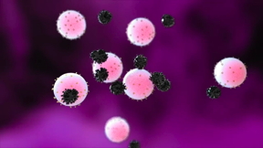 Nanodecoys bind with SARS-CoV-2 virus