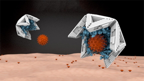 Lined on the inside with virus-binding molecules, nano-shells made of DNA material bind viruses tightly and thus render them harmless.

CREDIT
Elena-Marie Willner / DietzLab / TUM