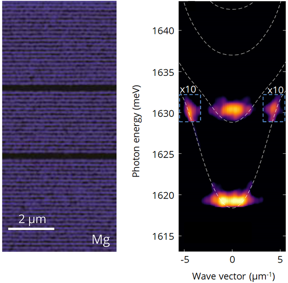 On the left: a spatial cross-section of the studied structure. Two optical microcavities (broad black stripes) are visible, surrounded by a multilayer Bragg mirrors. The image shows the spatial distribution of magnesium. It was obtained in a transmission electron microscope in the measurement of energy dispersion X-ray spectroscopy. On the right: angularly resolved emission spectrum of a system of two coupled optical microcavities recorded for excitation power above the polariton lasing threshold. The white lines represent the calculated polariton levels. Parametric polariton scattering is visible as bright points inside the blue rectangles. (Source: K. Sobczak, CNBCh UW, K. Sawicki, Faculty of Physics UW)

CREDIT
K. Sobczak, CNBCh UW, K. Sawicki, Faculty of Physics UW