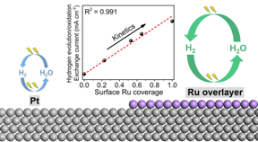 Ruthenium atoms supported on platinum are extremely active to produce hydrogen

CREDIT
HKUST