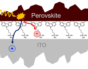 The SAM layer between the perovskite semiconductor and the ITO contact consists of a single layer of organic molecules. The mechanisms by which this SAM layer reduces losses can be quantified by measuring the surface photovoltage and photoluminescence.

CREDIT
HZB