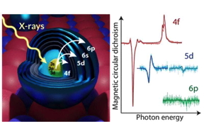 X-ray transitions can be used to sense specific orbitals in lanthanide atoms on surfaces and map their electronic and spin configuration. In the figure, an atom of gadolinium (Gd) attached to a film of magnesium oxide (MgO) is hit by a x-ray.

CREDIT
IBS Center for Quantum Nanoscience