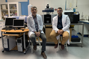 Researchers of the UMA study the possibility of altering carbon to create chips with a higher capacity than those used nowadays made of electronic silicon. They propose “spintronics” as an alternative for the current energy problems

CREDIT
University of Malaga