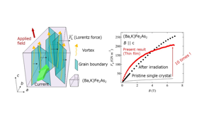 Schematic illustration of how vortices are pinned by low-angle grain boundaries in a (Ba,K)Fe2As2 superconductor. The pinning force density Fp of (Ba,K)Fe2As2 thin film fabricated in this study is almost 10 times as high as a pristine single crystal.

CREDIT
Kazumasa Iida