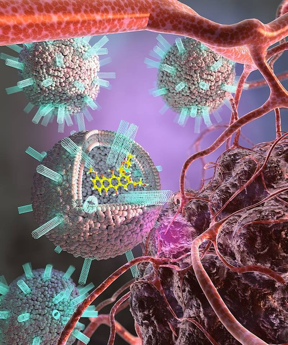 Liposomes studded with carbon nanotubes and carrying a chemotherapy drug dock to the surface of a cancer cell. This causes the liposome to fuse to the cancer cell and deliver the drug, killing the cell.

CREDIT
Image courtesy of Lawrence Livermore National Laboratory. Image created by EllaMaru Studios.