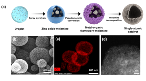 (a) single-atomic catalyst synthesis process using humidifier method, (b) SEM image, (c) cobalt element mapping image, (d) high-resolution STEM image of cobalt single-atomic catalyst

CREDIT
Korea Institute of Science and Technology (KIST)