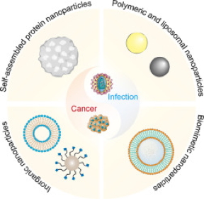 In this review, the authors summarize the recent advances in the application of vaccine nanotechnology for infectious disease prevention and cancer immunotherapy, involving the contribution of materials, mechanisms, and administration methods.