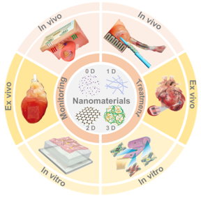 Overview of nanomaterials based flexible devices for monitoring and treatment of cardiovascular disease deaths.
CREDIT
Nano Research, Tsinghua University Press